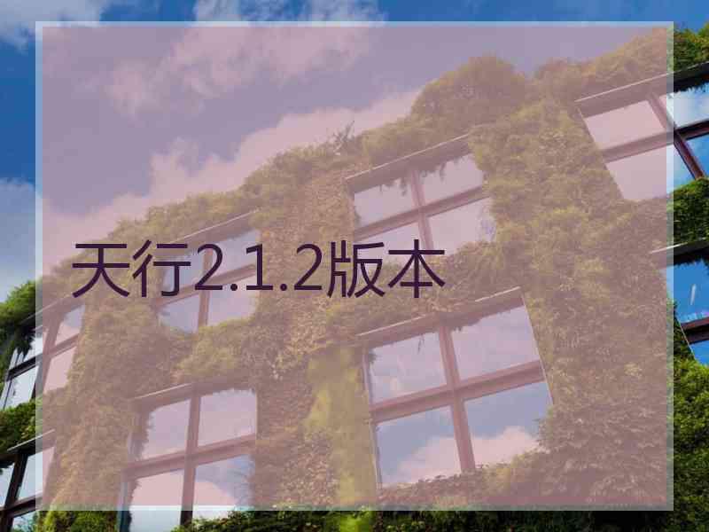 天行2.1.2版本