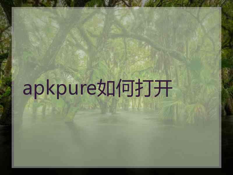 apkpure如何打开