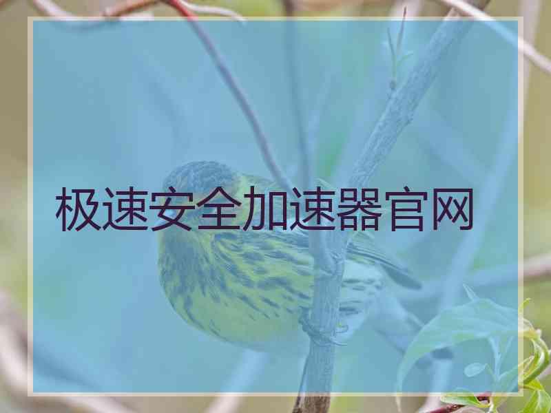 极速安全加速器官网