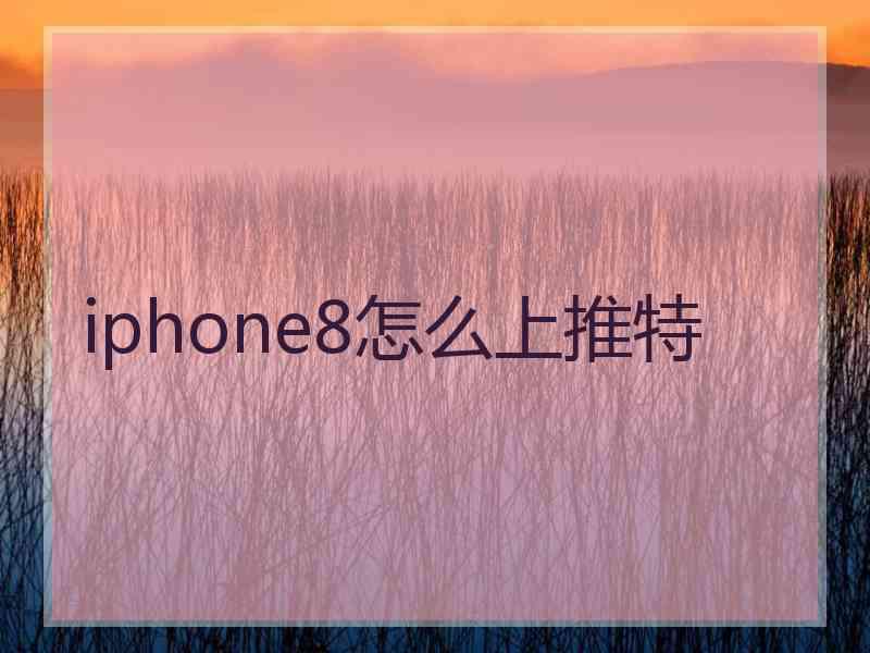 iphone8怎么上推特