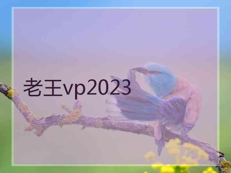 老王vp2023