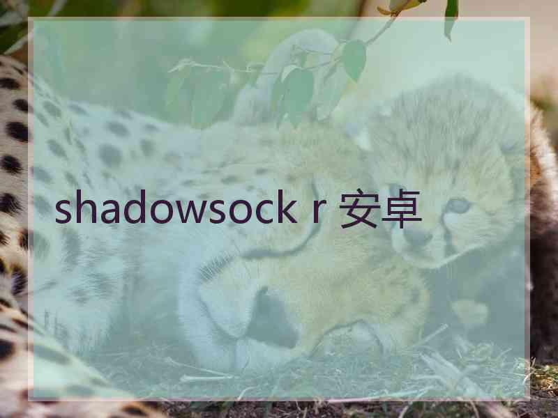 shadowsock r 安卓