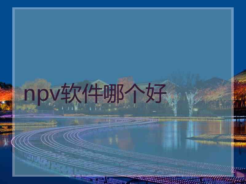 npv软件哪个好