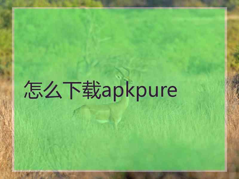 怎么下载apkpure