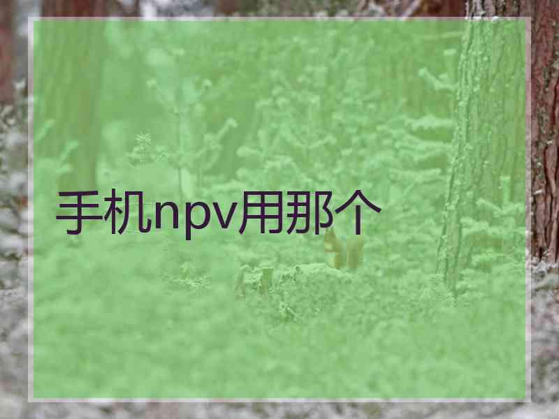 手机npv用那个