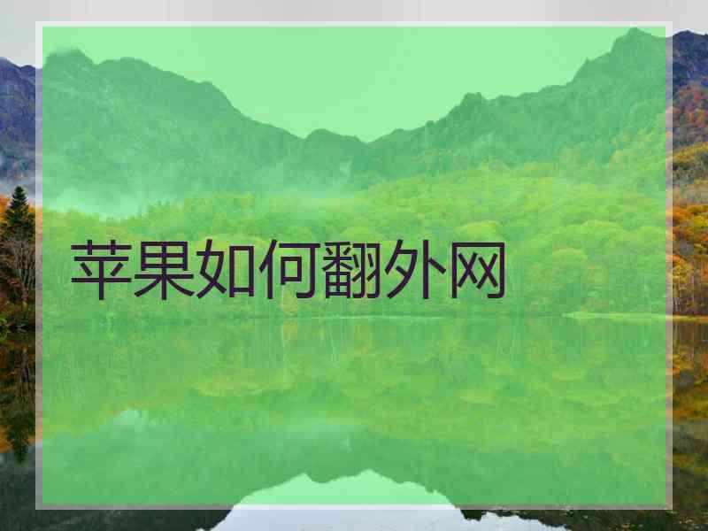 苹果如何翻外网