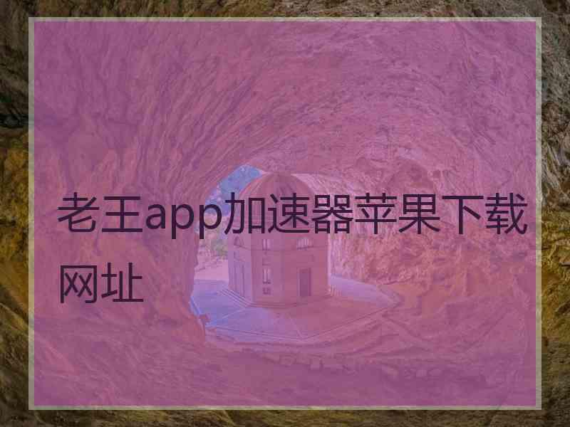 老王app加速器苹果下载网址