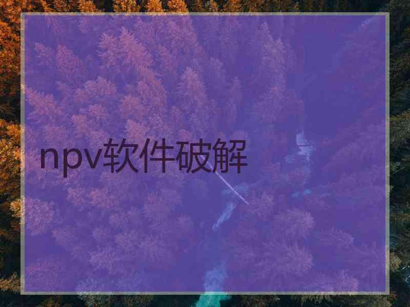 npv软件破解