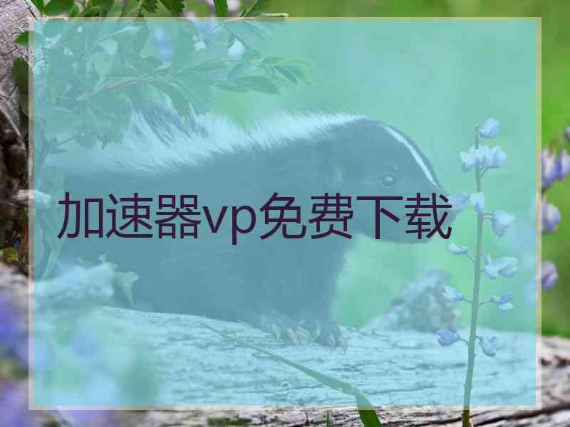 加速器vp免费下载