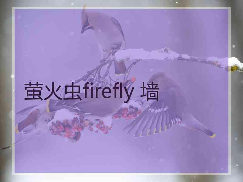 萤火虫firefly 墙