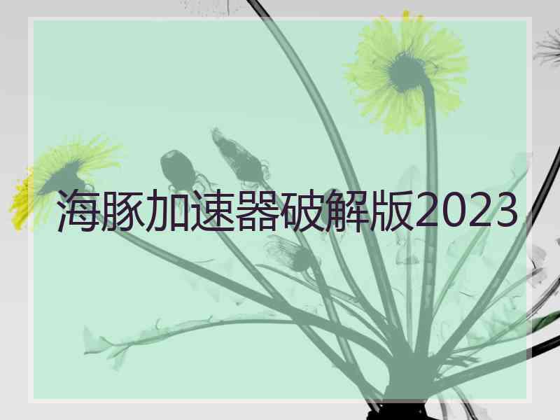 海豚加速器破解版2023