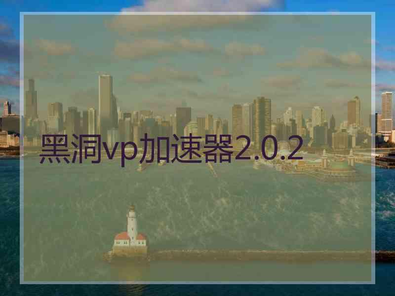 黑洞vp加速器2.0.2