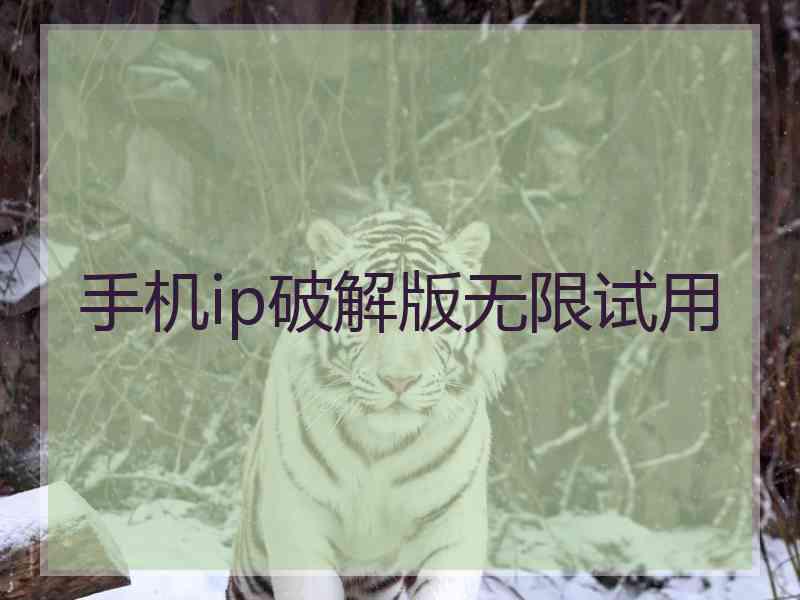 手机ip破解版无限试用