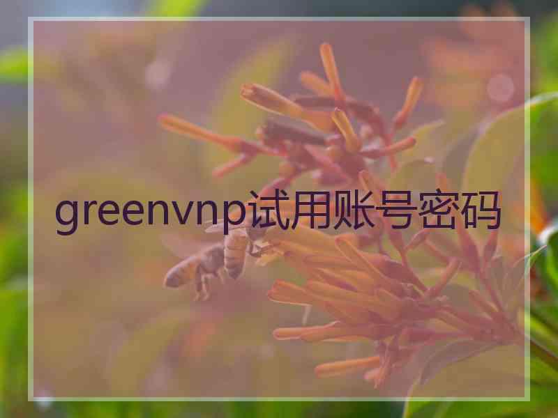 greenvnp试用账号密码