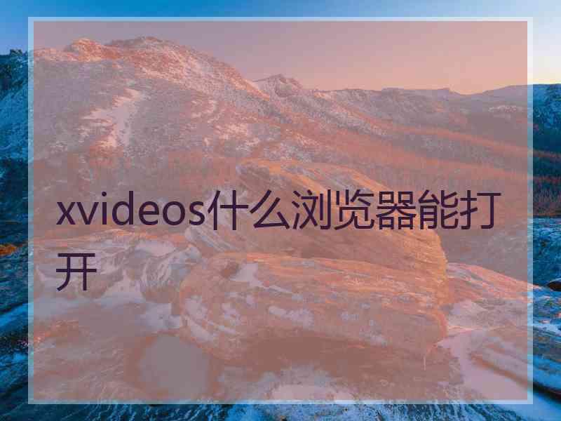 xvideos什么浏览器能打开