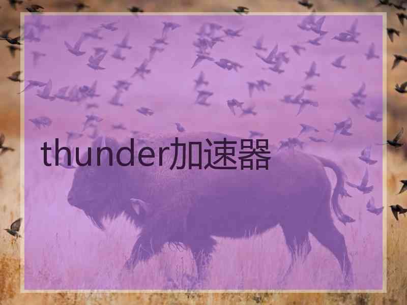 thunder加速器