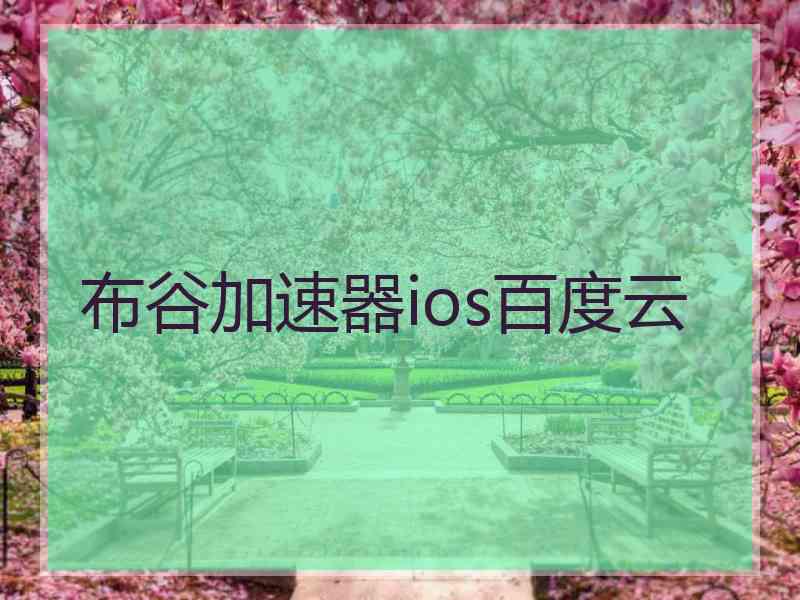 布谷加速器ios百度云