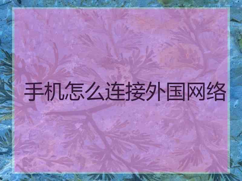 手机怎么连接外国网络