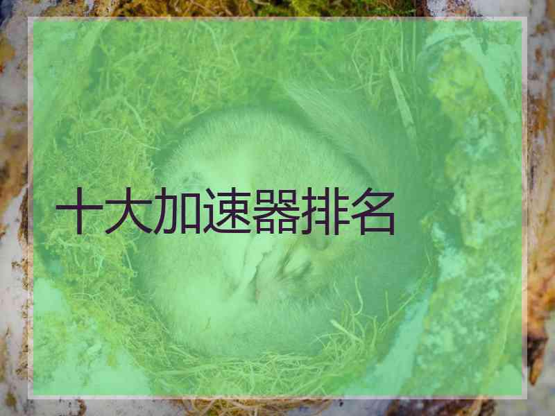 十大加速器排名