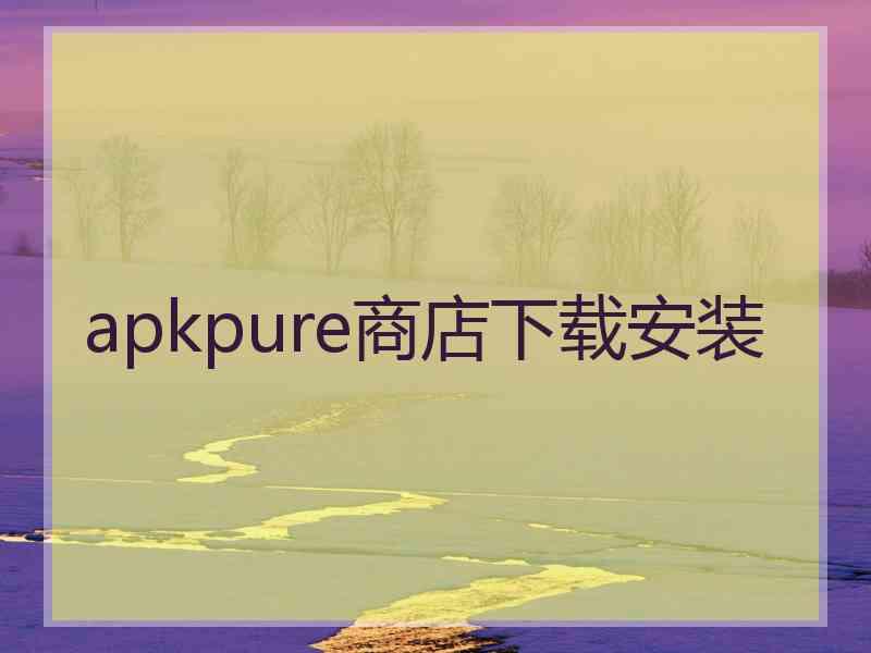 apkpure商店下载安装