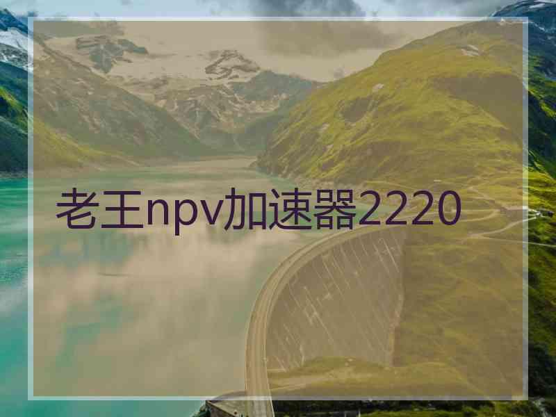 老王npv加速器2220