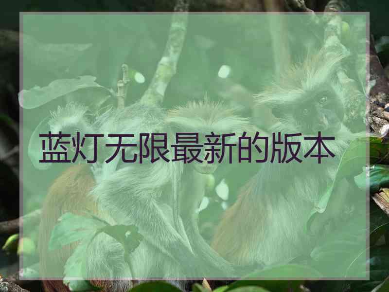 蓝灯无限最新的版本