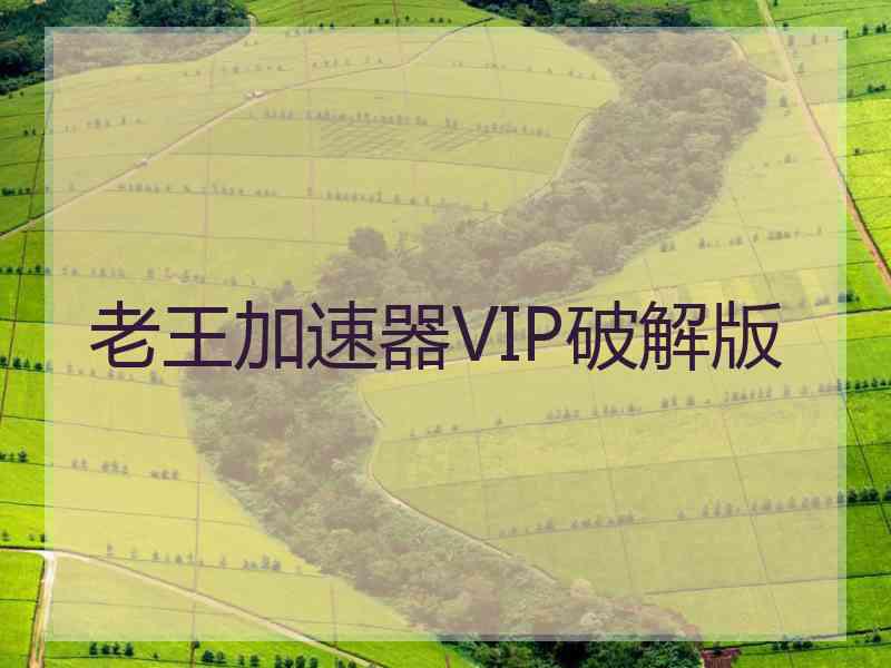 老王加速器VIP破解版