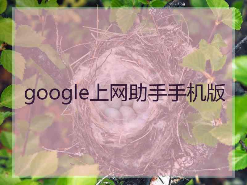 google上网助手手机版