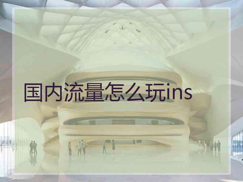 国内流量怎么玩ins