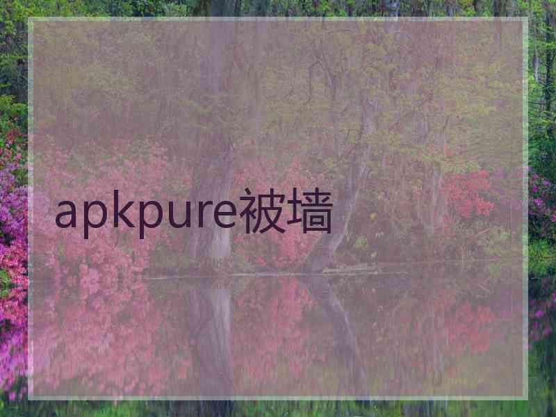 apkpure被墙