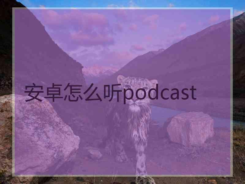 安卓怎么听podcast