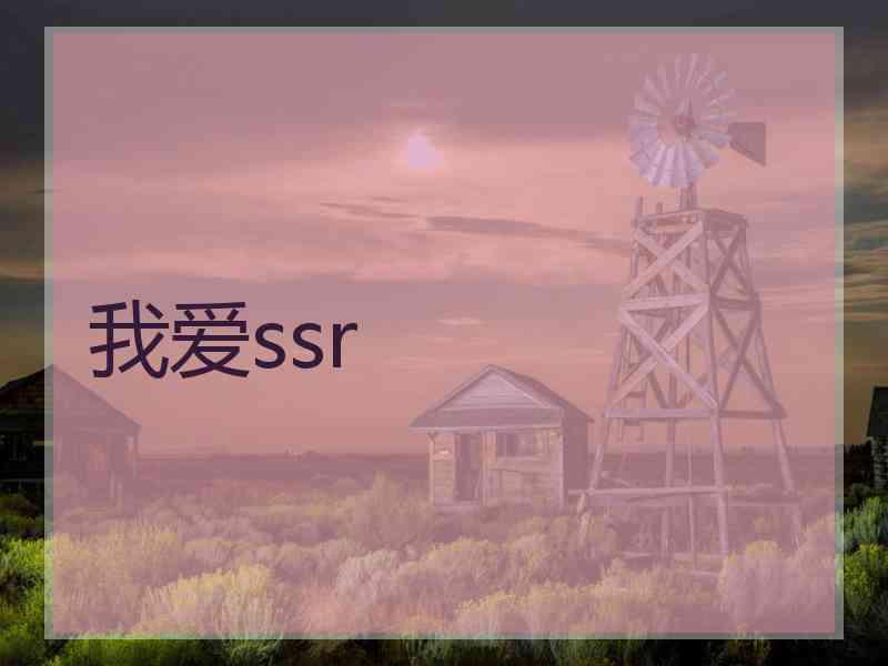 我爱ssr