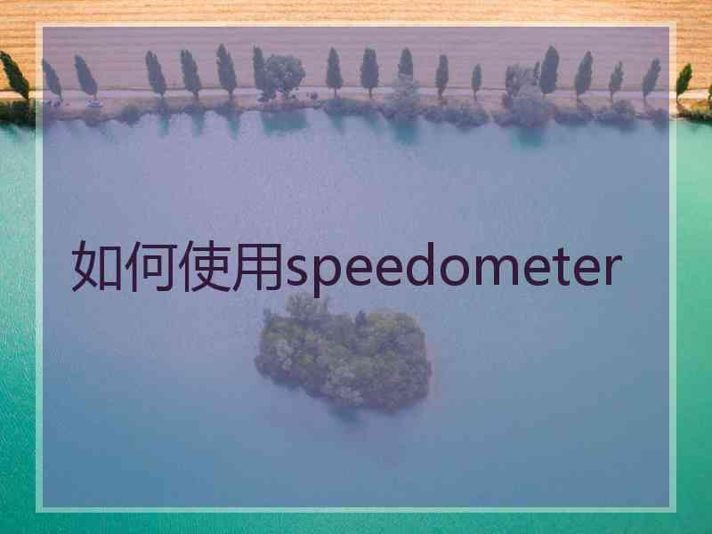 如何使用speedometer