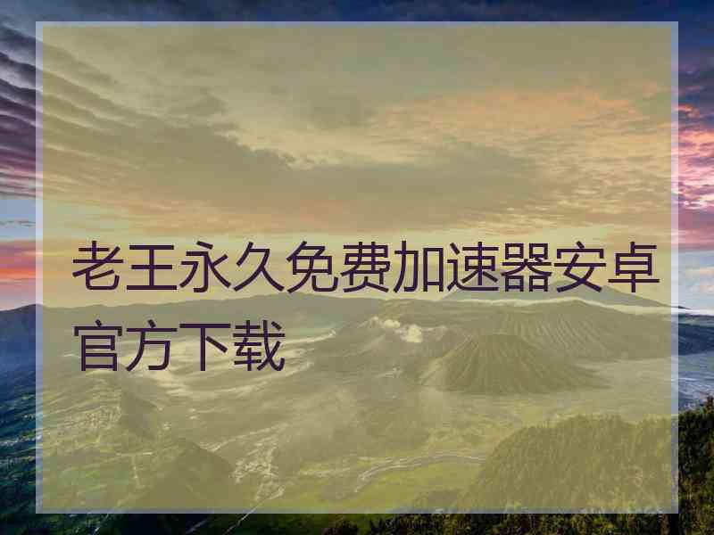 老王永久免费加速器安卓官方下载