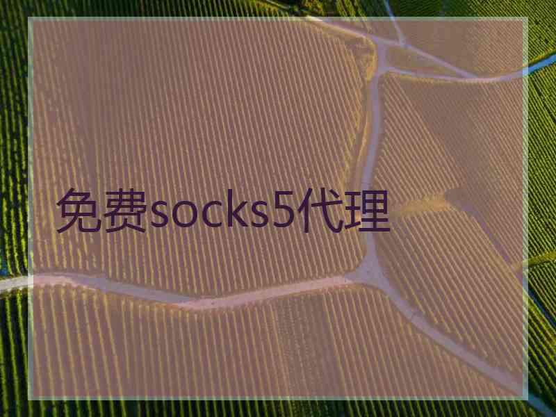 免费socks5代理