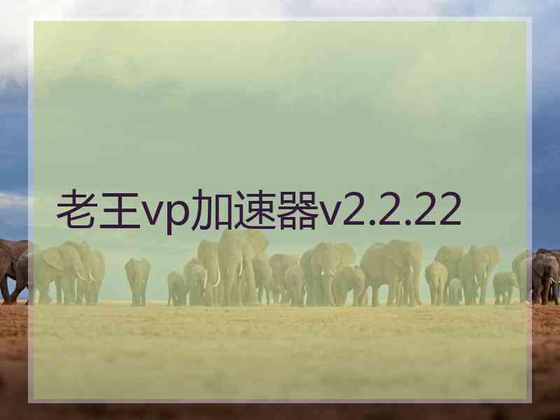 老王vp加速器v2.2.22