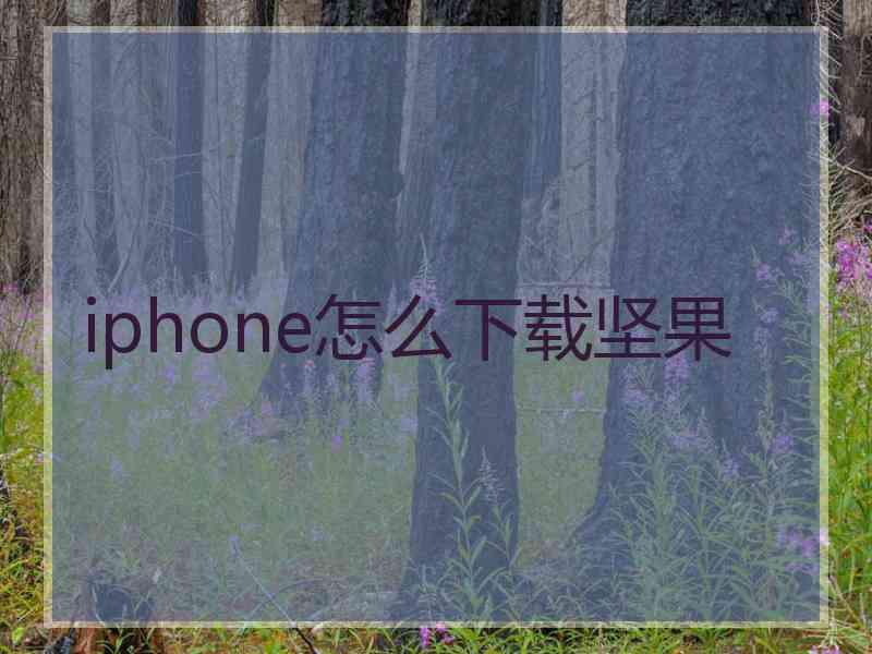 iphone怎么下载坚果