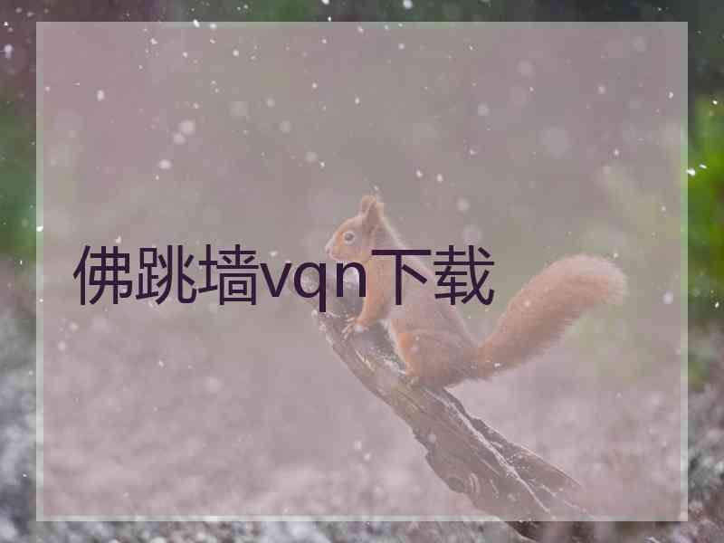 佛跳墙vqn下载