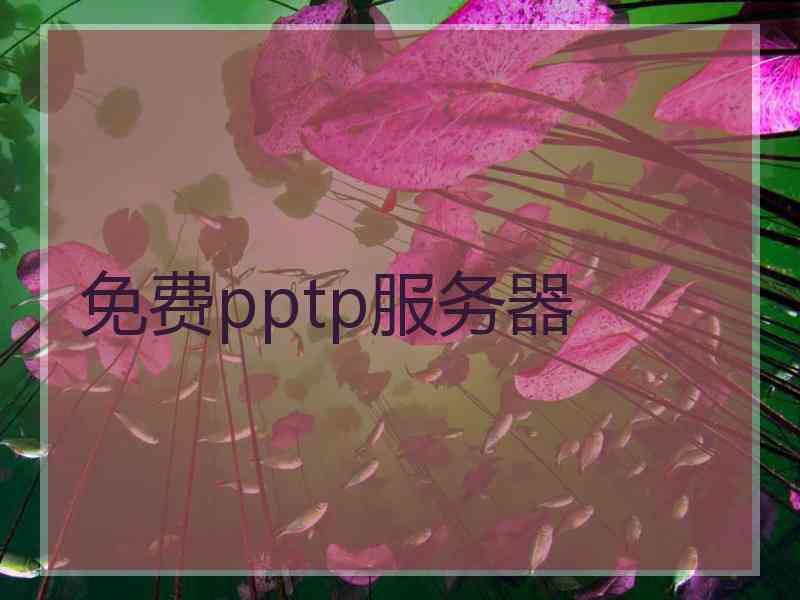 免费pptp服务器