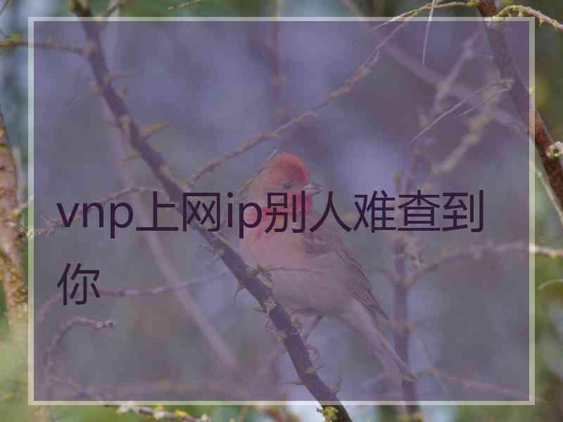 vnp上网ip别人难查到你