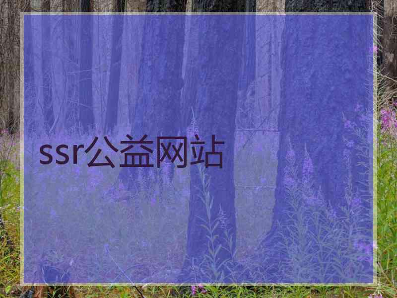 ssr公益网站