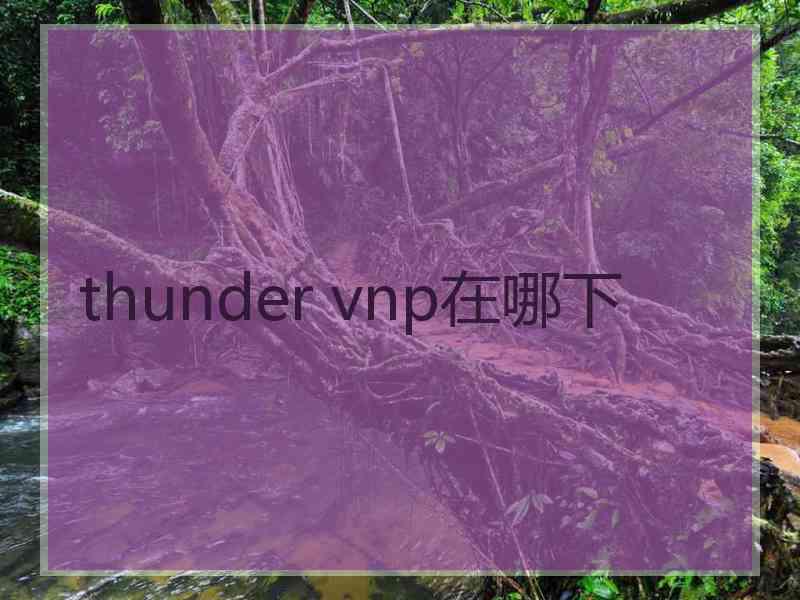 thunder vnp在哪下