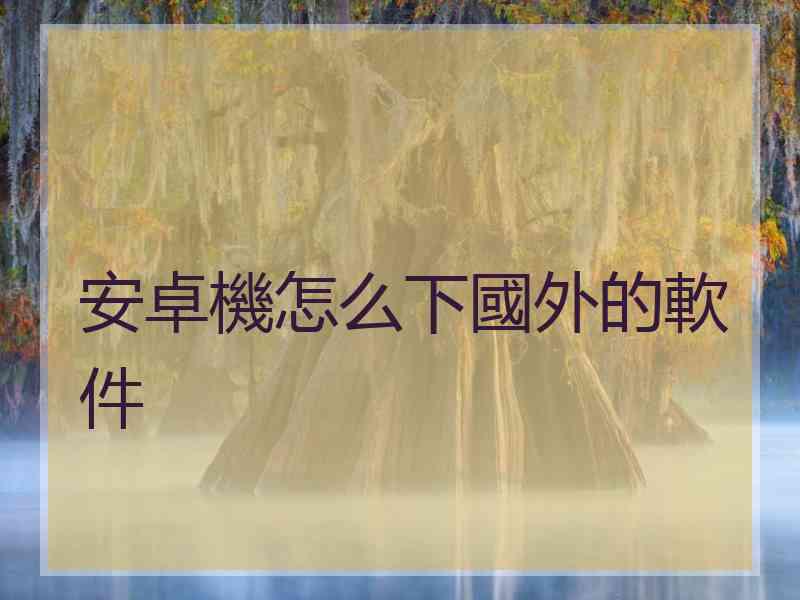 安卓機怎么下國外的軟件