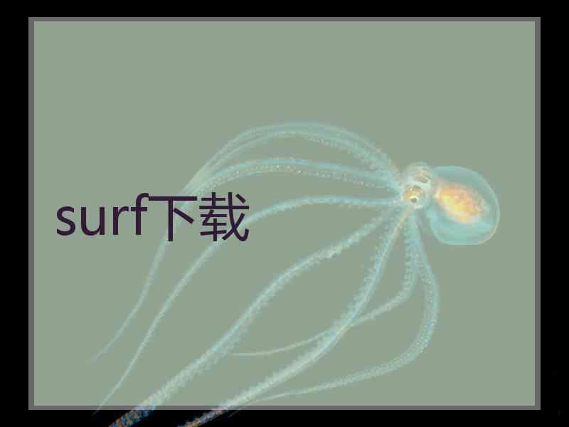 surf下载