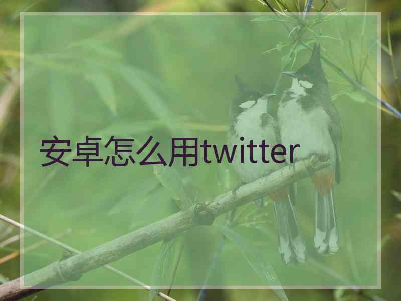 安卓怎么用twitter