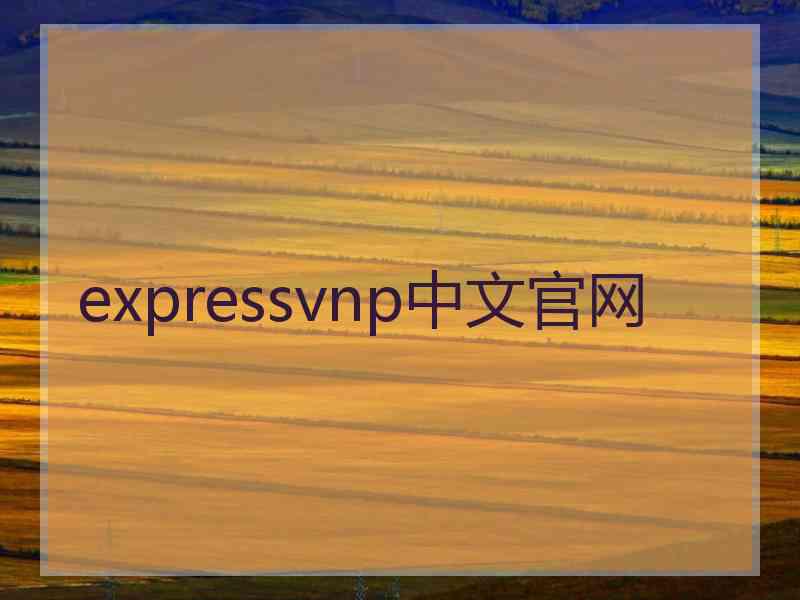 expressvnp中文官网