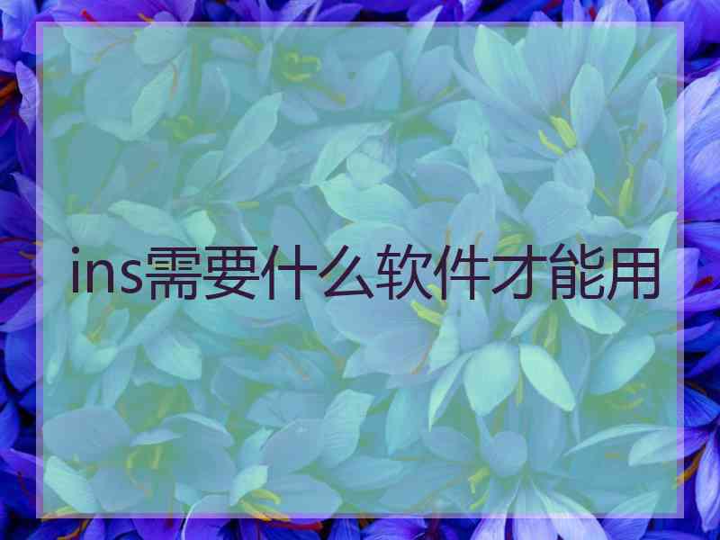 ins需要什么软件才能用