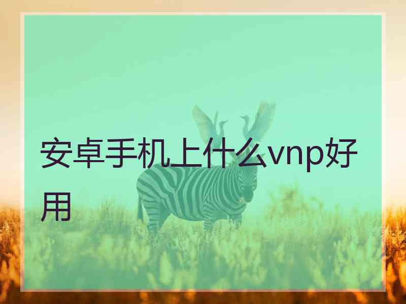 安卓手机上什么vnp好用