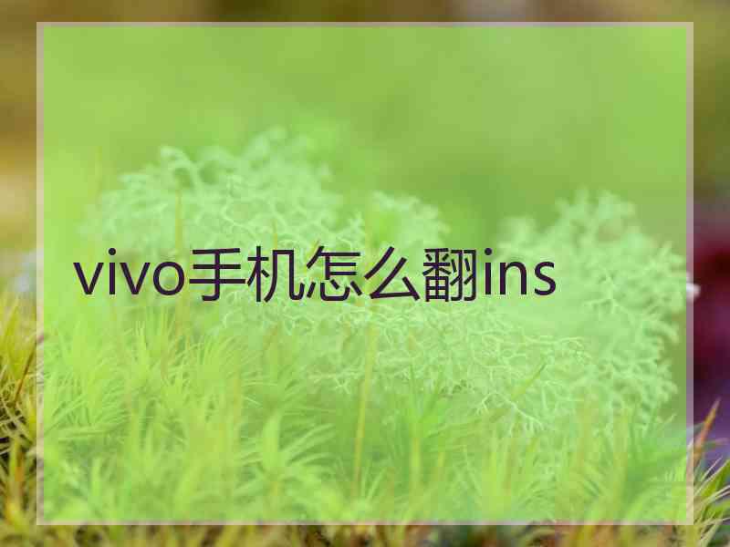 vivo手机怎么翻ins