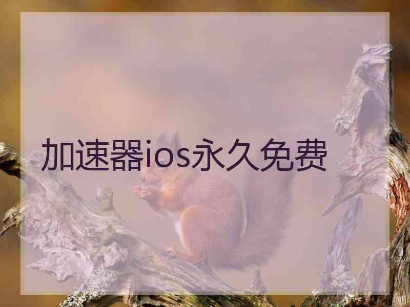 加速器ios永久免费